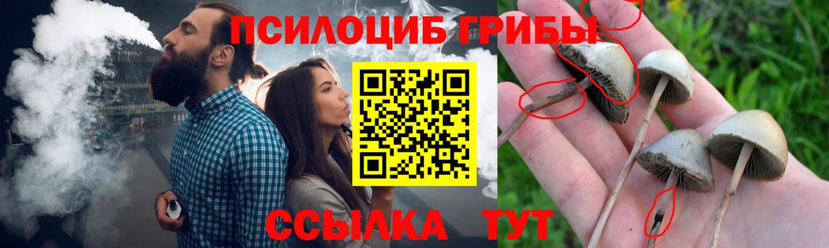 Галлюциногенные грибы мицелий  купить наркоту  Набережные Челны  Вход с VPN  Галлюциногенные грибы ЛСД 